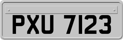 PXU7123