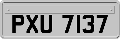 PXU7137