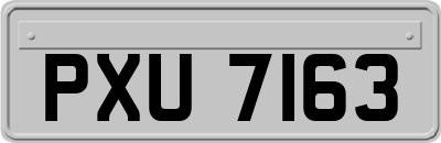 PXU7163