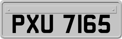 PXU7165