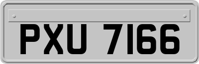 PXU7166