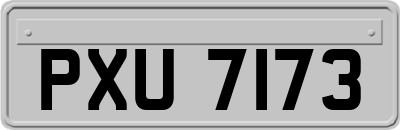 PXU7173