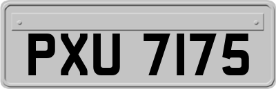 PXU7175