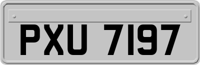 PXU7197