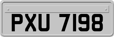 PXU7198