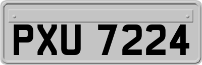 PXU7224