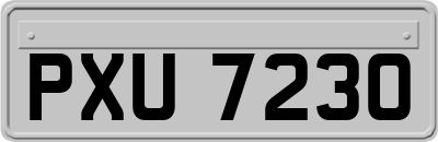 PXU7230