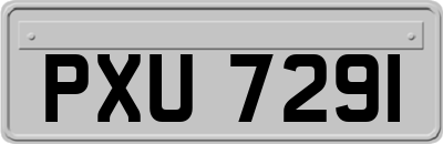 PXU7291