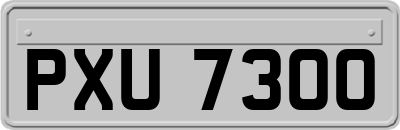 PXU7300