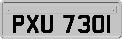 PXU7301