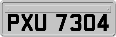 PXU7304