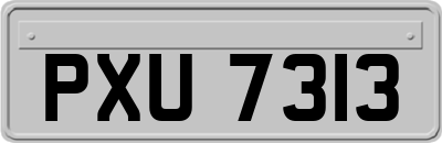 PXU7313