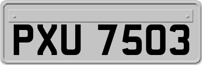 PXU7503