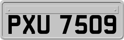 PXU7509