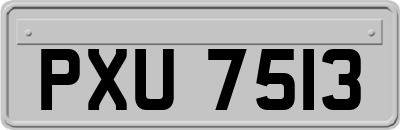 PXU7513