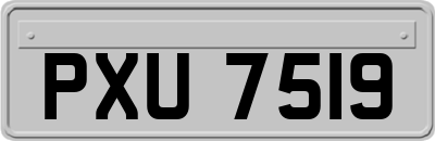 PXU7519