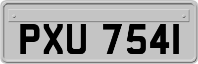 PXU7541