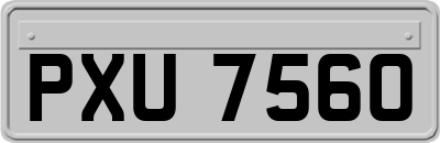 PXU7560