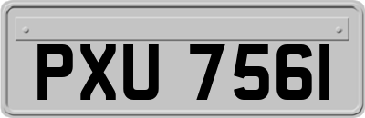 PXU7561