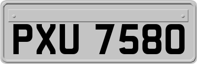 PXU7580