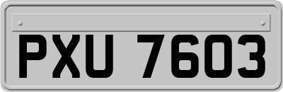 PXU7603