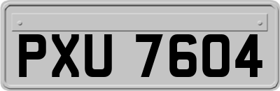 PXU7604