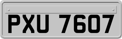 PXU7607