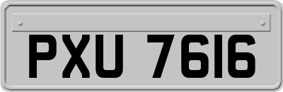 PXU7616