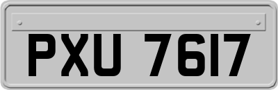 PXU7617