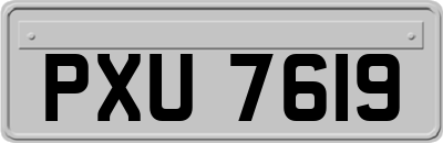 PXU7619