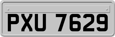 PXU7629