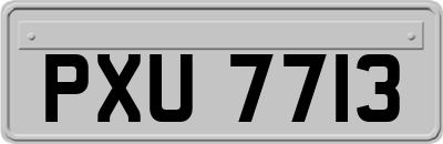 PXU7713