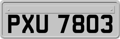 PXU7803