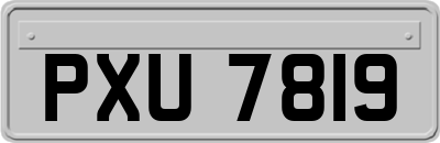 PXU7819