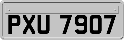 PXU7907