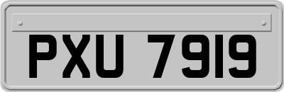 PXU7919