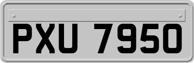 PXU7950