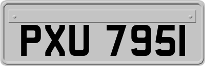 PXU7951