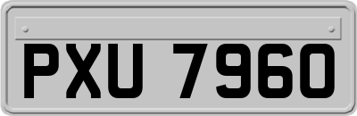 PXU7960