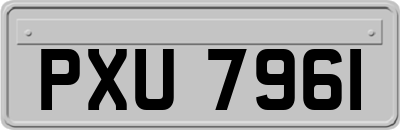 PXU7961