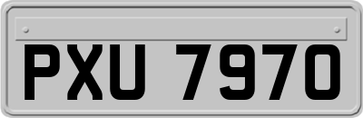 PXU7970