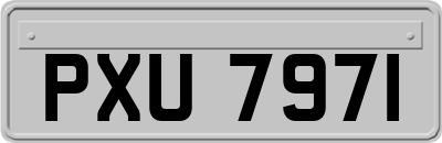 PXU7971