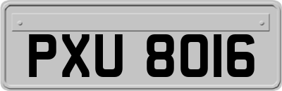 PXU8016