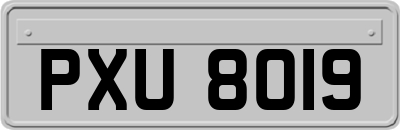 PXU8019