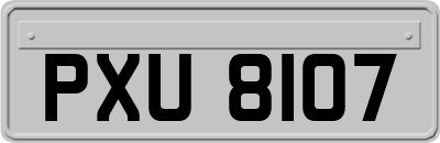 PXU8107