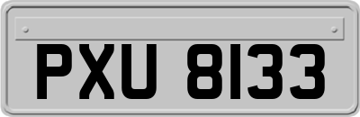 PXU8133