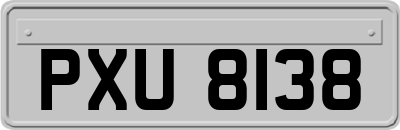 PXU8138