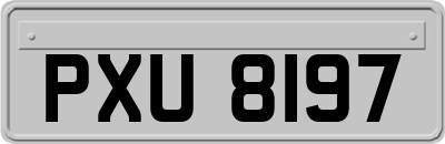 PXU8197