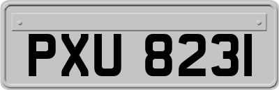 PXU8231