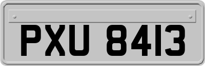 PXU8413